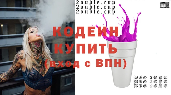 индика Россошь