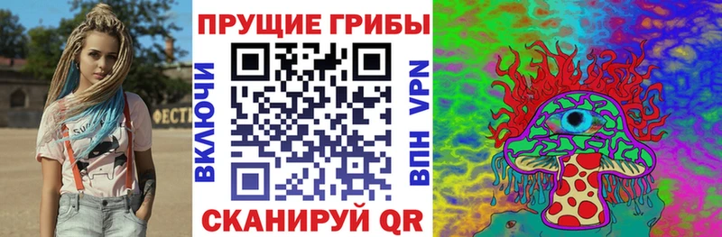 ОМГ ОМГ tor хочу Краснообск Галлюциногенные грибы Psilocybine cubensis